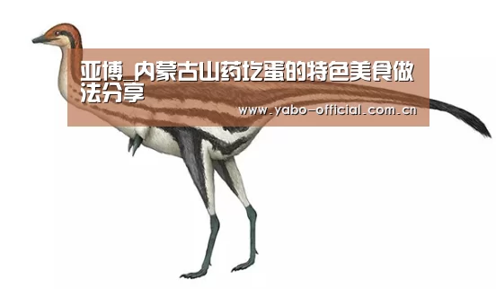 亚博网站